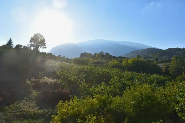 Καλώς ήρθατε στο Κοίτα να Δεις! Φωτογραφία 2